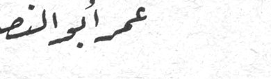 عمر أبو النصر