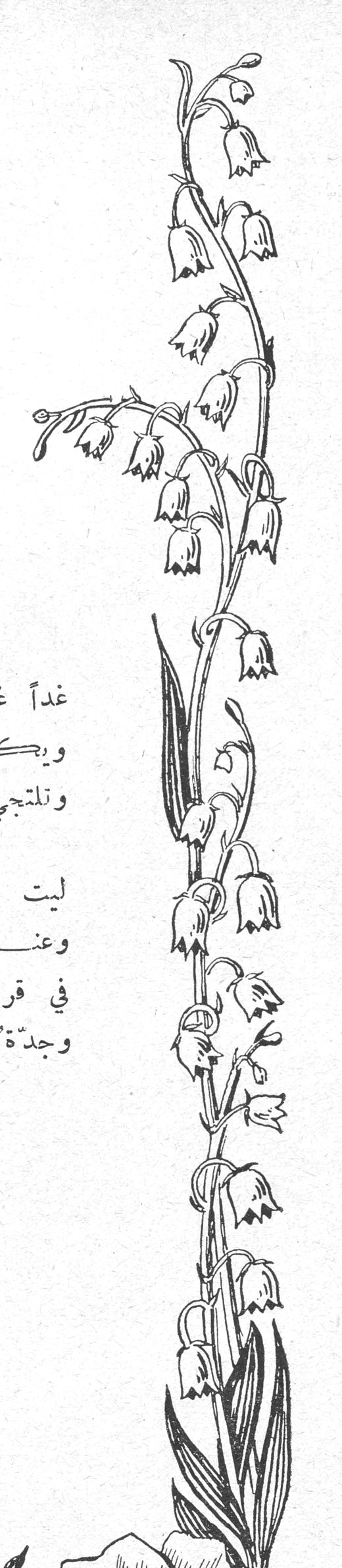 زخرفة زهور