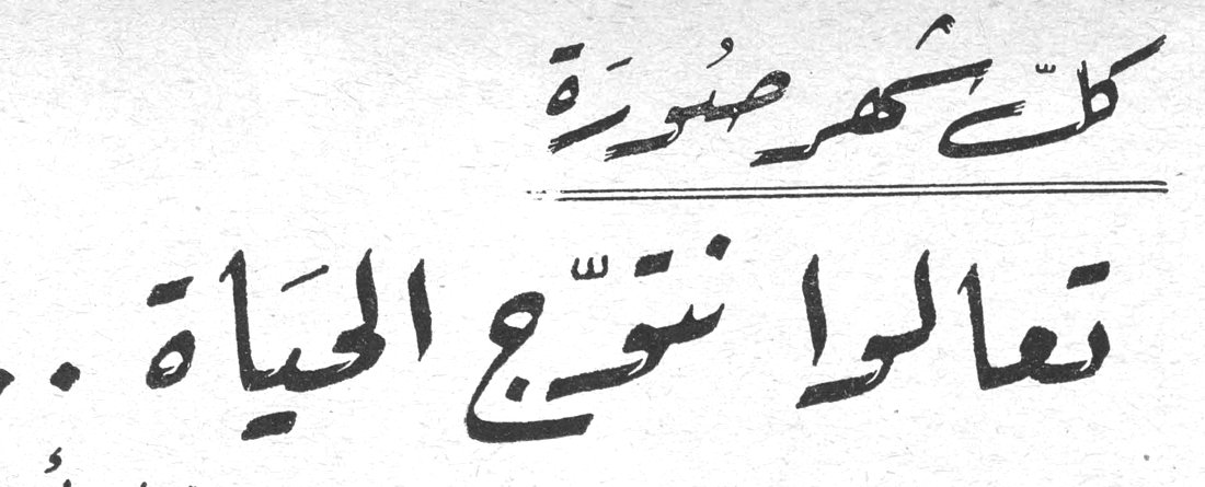 كل شهر صورة
تعالوا نتوّج الحياة ..