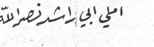 أملي أبي راشد نصر الله