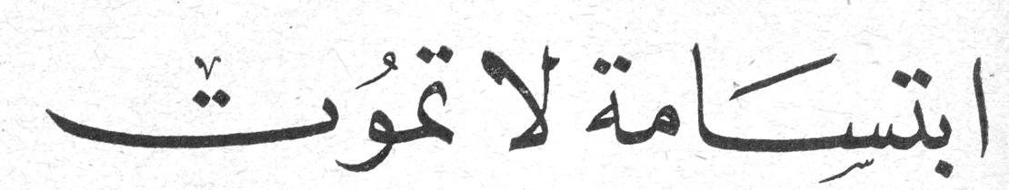 ابتسامة لا تموت