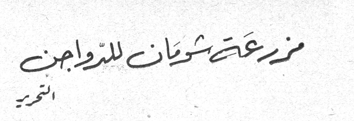 مزرعة شومان للدواجن — التحرير
