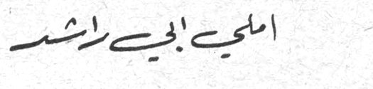 املي ابي راشد