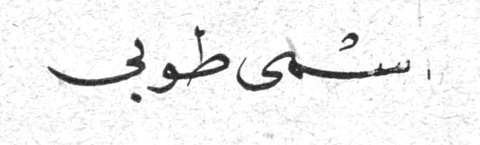 سلمى طوبي