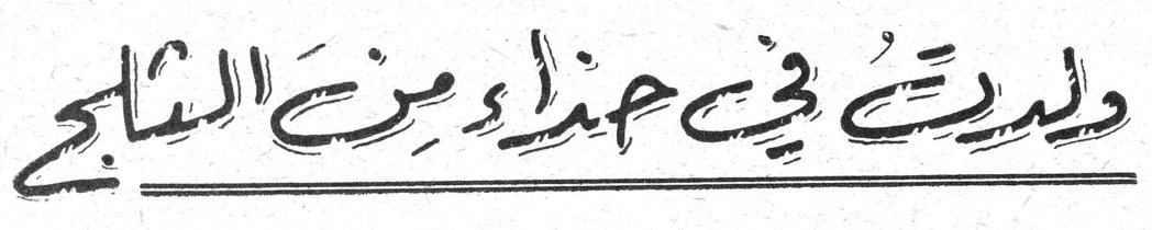 ولدت في حذاء من الثلج
