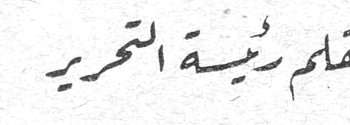بقلم رئيسة التحرير - اديك جويديني شيبوب