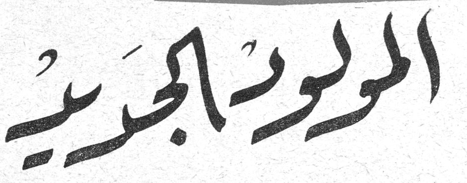 المولود الجديد