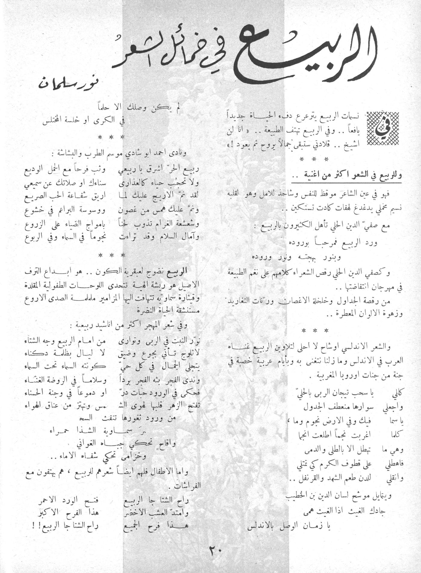 Scan of page 19