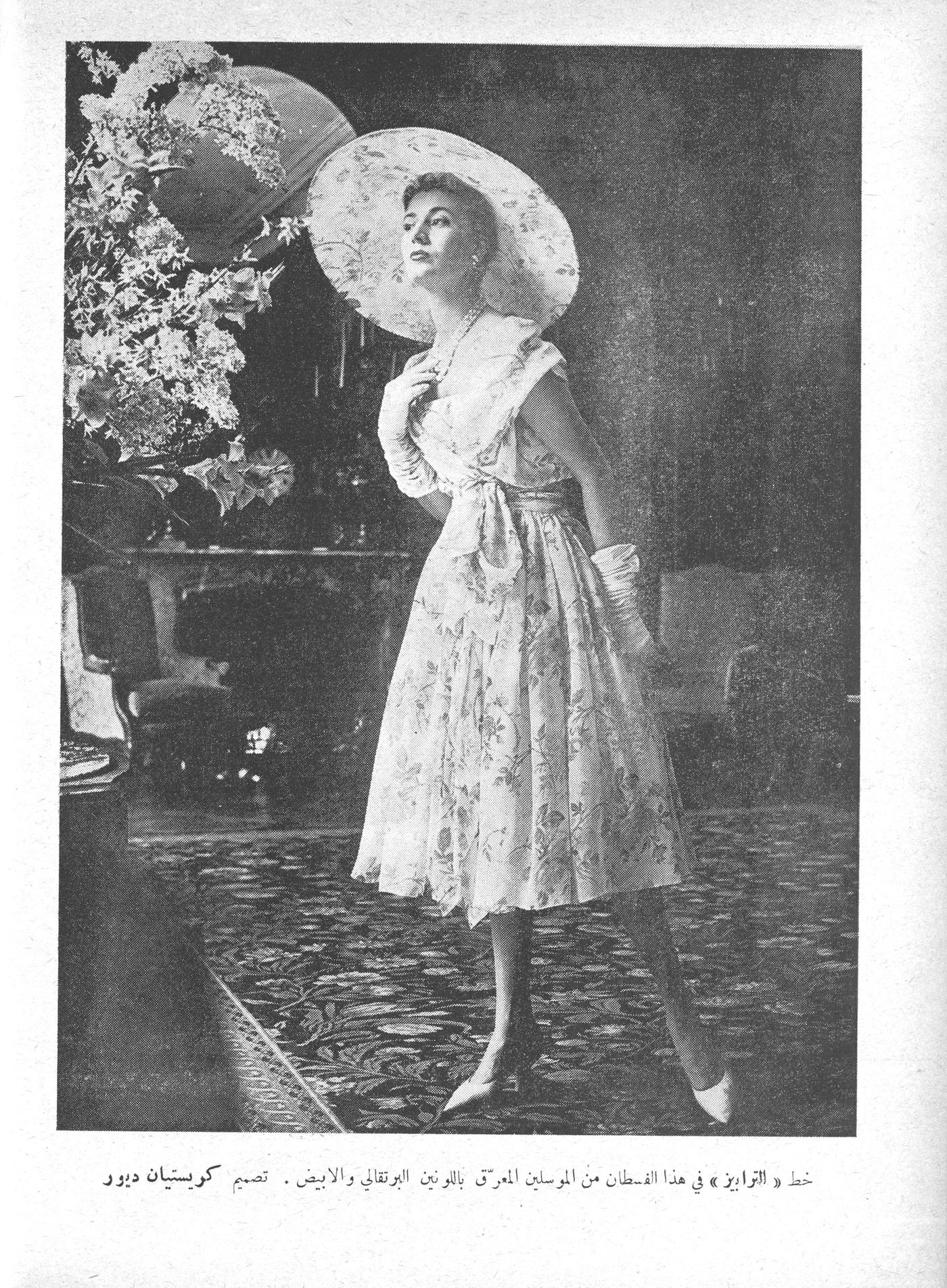 Scan of page 29