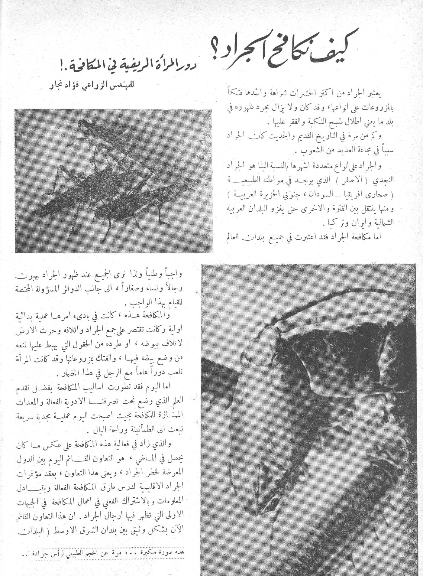 Scan of page 55