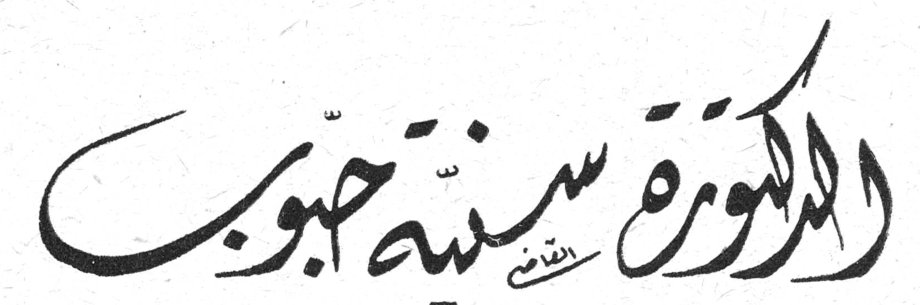 الدكتورة سنية حبوب