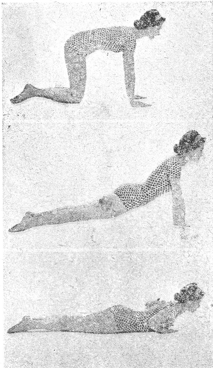 تمارين مصورة للصدر والكتفين