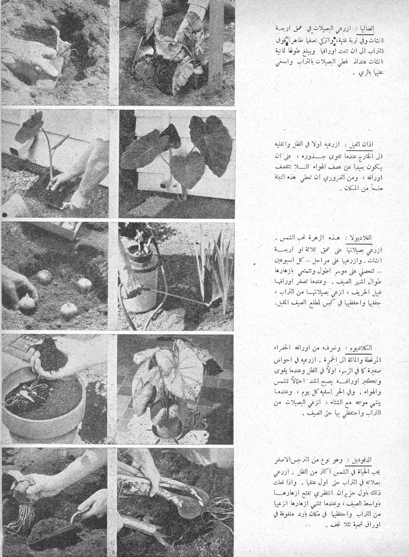 Scan of page 47