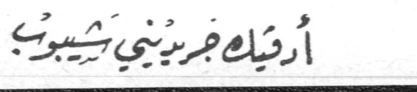 أرشيه جريديني شيبوب أرشيه جريديني شيبوب - رئيسة التحرير