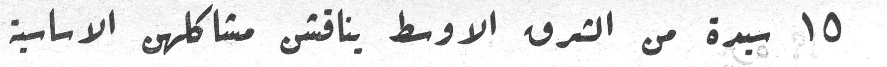 ١٥ سيدة من الشرق الأوسط يناقشن مشاكلهن الأساسية