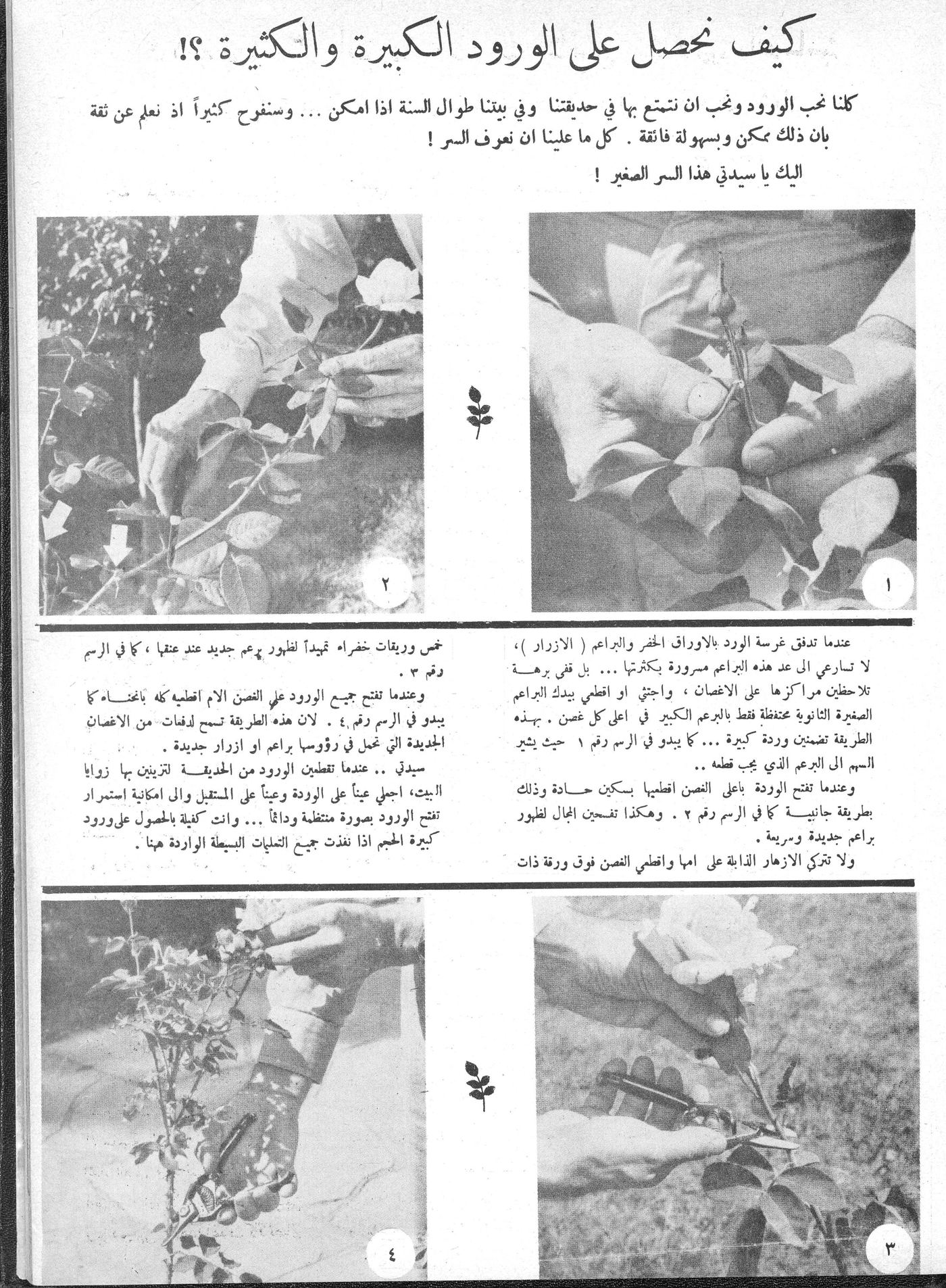 Scan of page 11