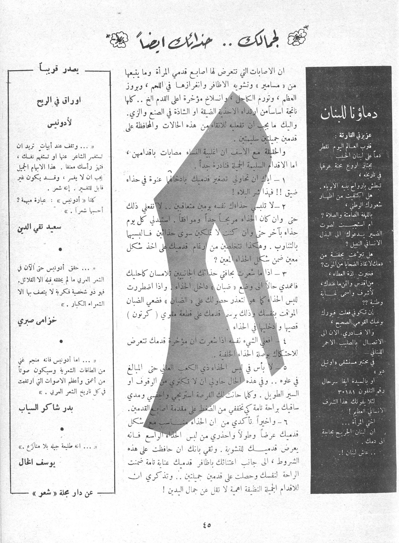 Scan of page 45